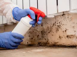 Best Biohazard Mold Removal  in Nowthen, MN